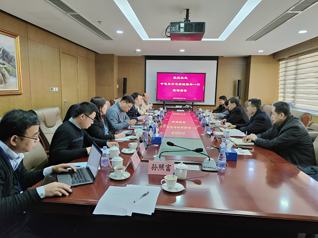 中色（寧夏）東方集團有限公司總經(jīng)理陳林一行到訪有研工研院