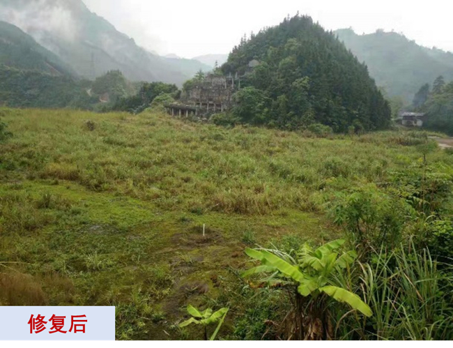 主題教育進(jìn)行時(shí) | “學(xué)思想、強(qiáng)黨性、重實(shí)踐、建新功”有研故事系列展播（十一）打造重金屬污染治理和生態(tài)環(huán)保的有研力量