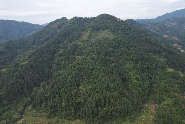 中國有研：深入踐行習近平生態(tài)文明思想，扎實開展主題教育助推美麗中國建設