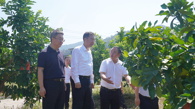 中國有研黨委書記、董事長趙曉晨赴貴州思南調(diào)研集團定點幫扶工作