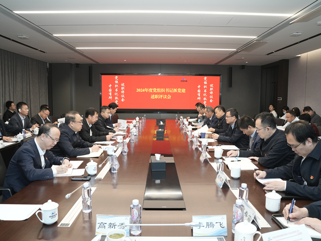 中國有研黨委召開2024年度黨組織書記抓基層黨建工作述職評議會(huì)