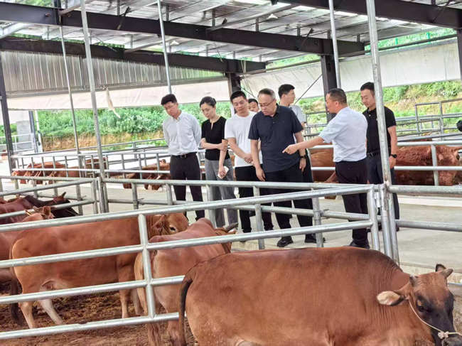 中國有研黨委委員、紀委書記唐學智赴思南縣調(diào)研定點幫扶工作并接送掛職干部